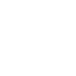棋子