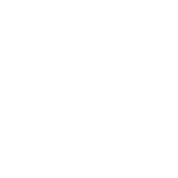 水瓶