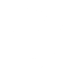 法拉利