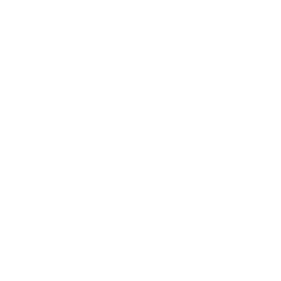 民俗的