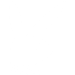 花花公子