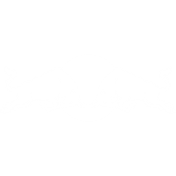 红牛