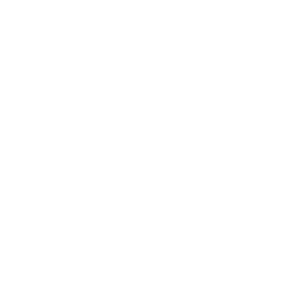 丰田