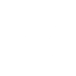 胜利