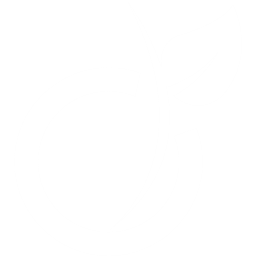 viadeo