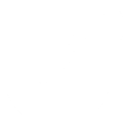 cd暂停