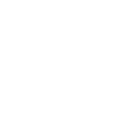 文件夹新建