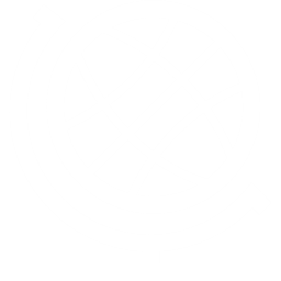 全球