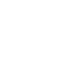 砖